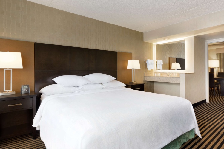 Embassy Suites by Hilton Piscataway Somerset photo 8