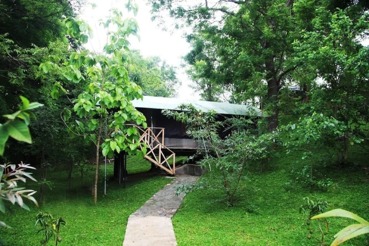Tent