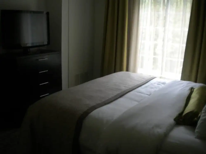 1 Bedroom Suite