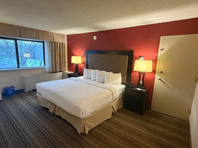 1 Bedroom Double Suite