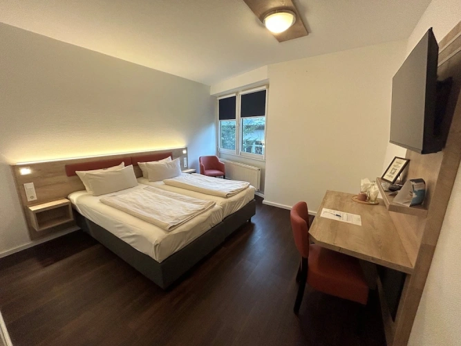 Standard Double room with park view