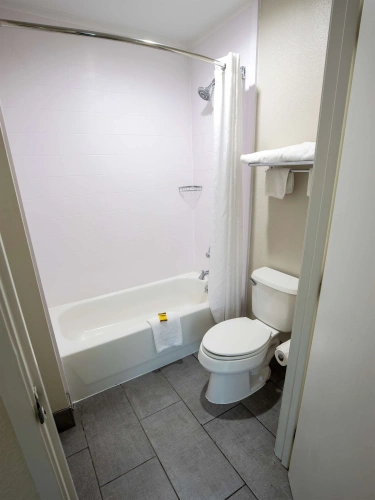 Quadruple Suite