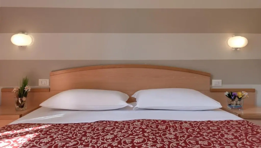 Basic Double room
