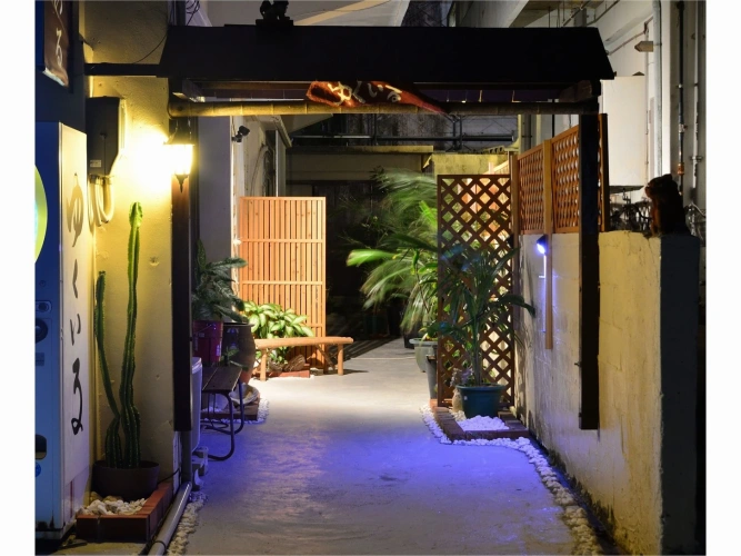 Standard Single room with garden view