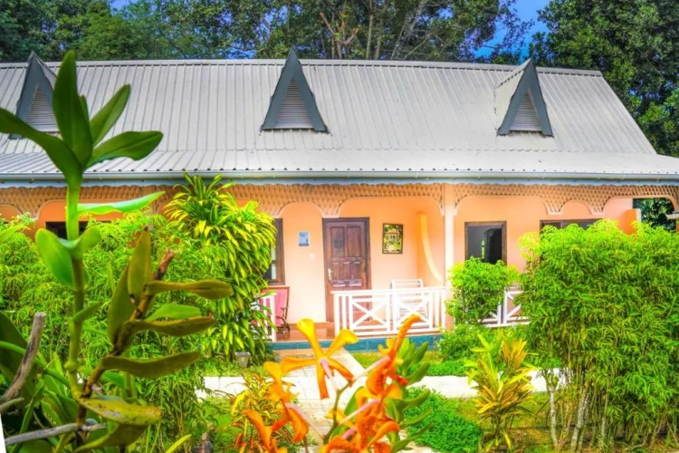 Standard Double room with garden view