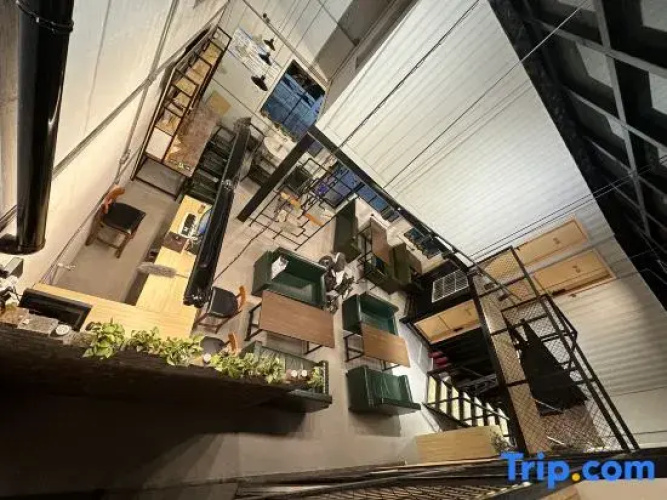 Unrestrained Youth Hostel