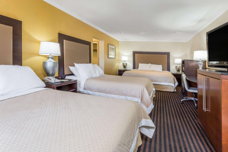 Standard Sextuple room