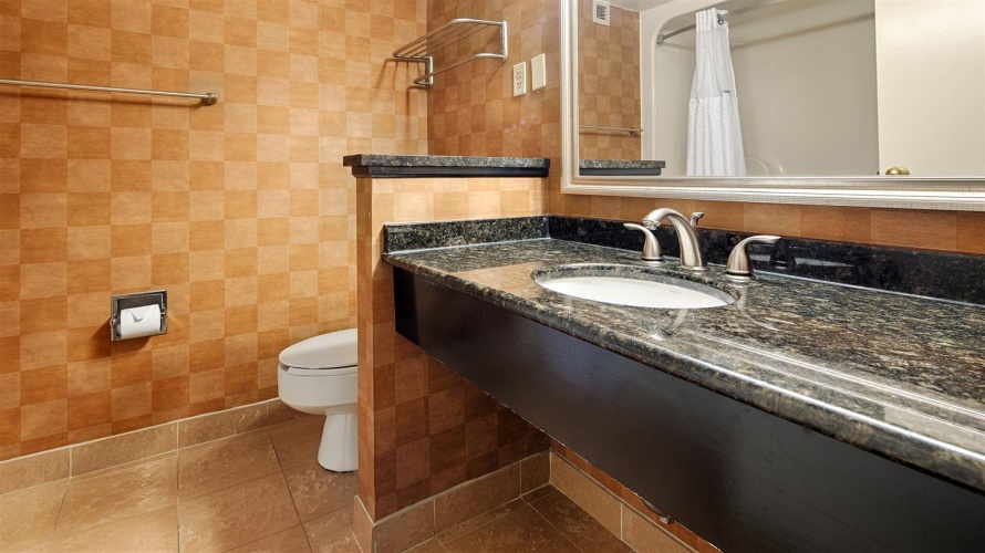 Best Western Plus BWI Airport Hotel - Arundel Mills photo 11