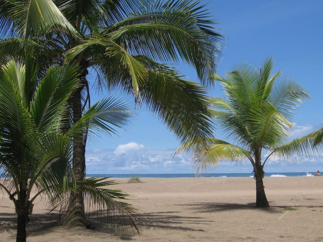 The Palms by Lost Beach Vacations