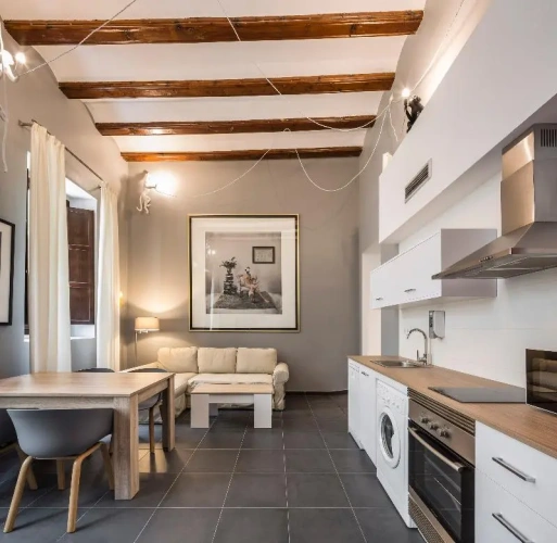 1 Bedroom Apartment
