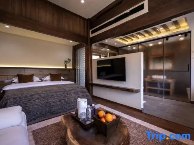 Standard Double room with mountain view