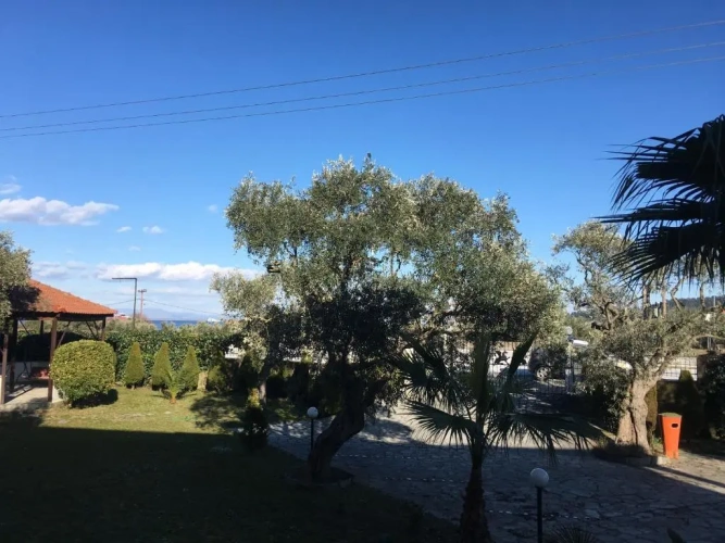 Standard Double room with garden view
