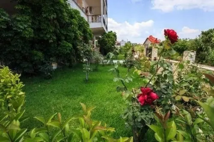 Aparthotel 3 Stars Petalidi