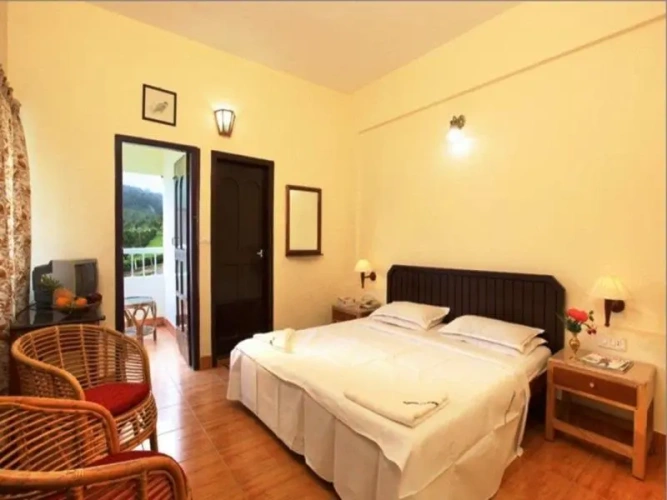 Deluxe Double room with mountain view