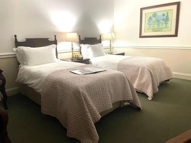 Deluxe Double room with garden view