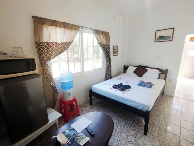 Economy Double Studio with pool view