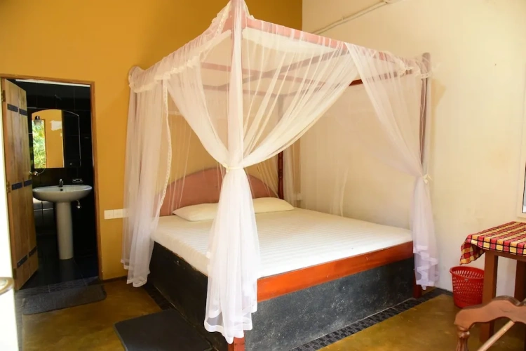 Standard Double room with balcony and with view