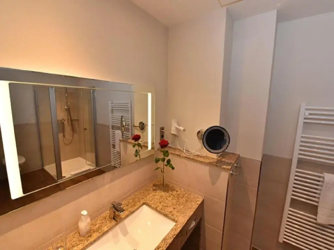 Deluxe Single room with view
