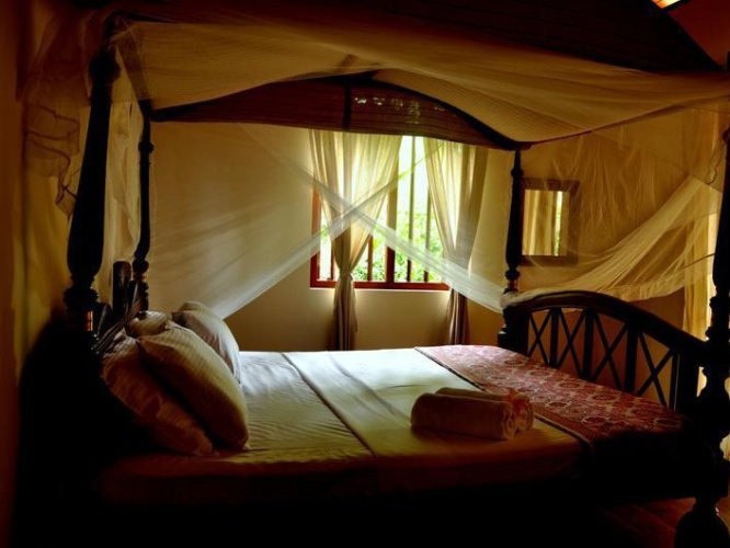 Standard Double room with garden view