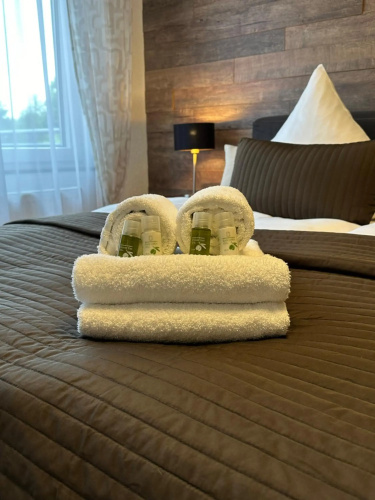 Appartements Rheinblick