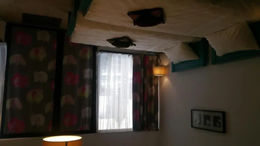 Lucas 38 Apartments