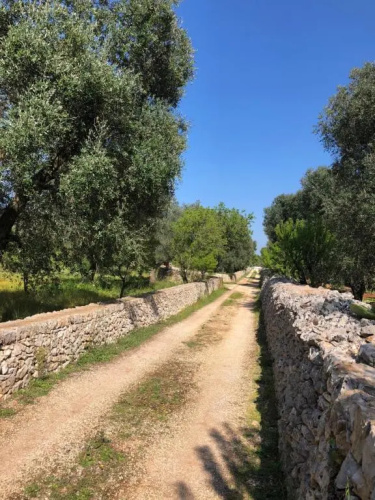 B&B Terre di Kalia