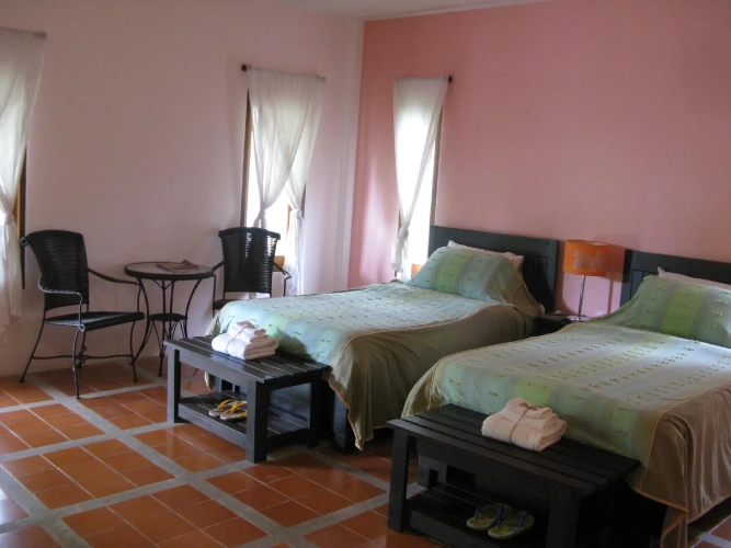 Executive Twin room