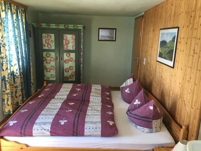 Standard Twin room with balcony and with view