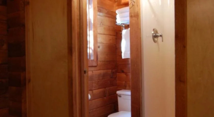 Denali Cabins
