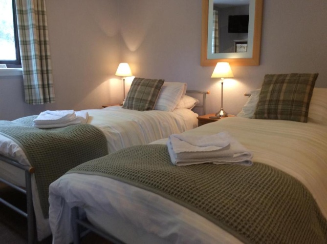 Standard Twin room with garden view