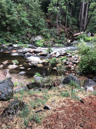 Sierra Inn on the River
