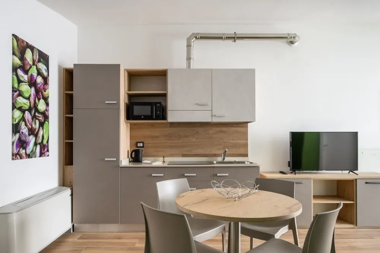 1 Bedroom Apartment