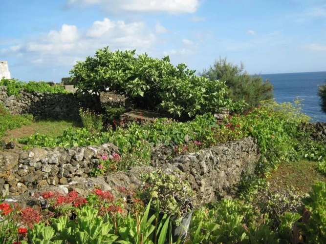 1 Bedroom Cottage