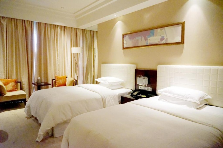 Guest Twin room