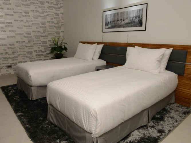 Deluxe Twin room