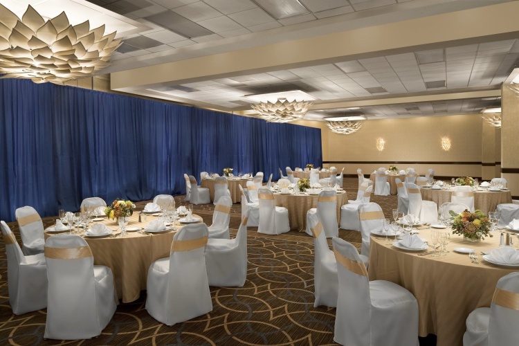 The Stamford Hotel photo 19