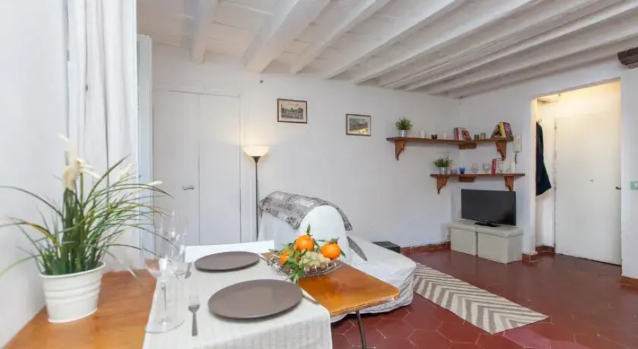 Boutique Domus Navona Librari