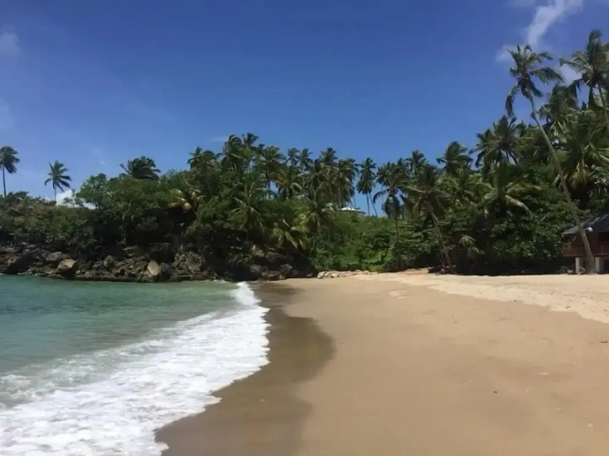 Romance Nest in Samana 7-202