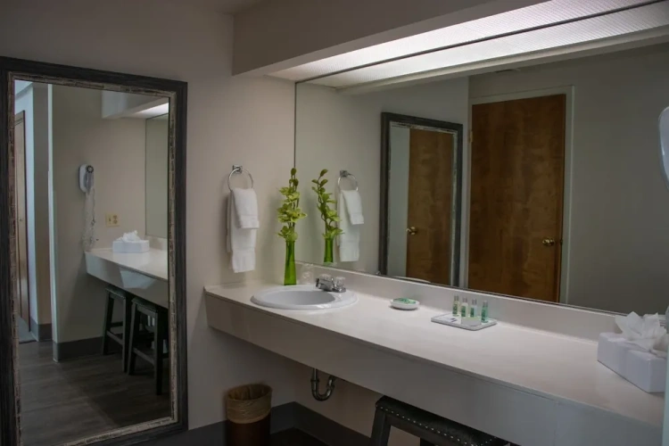Premier Double Suite