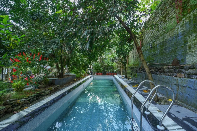 Summit Bougainvillea Tea Resort