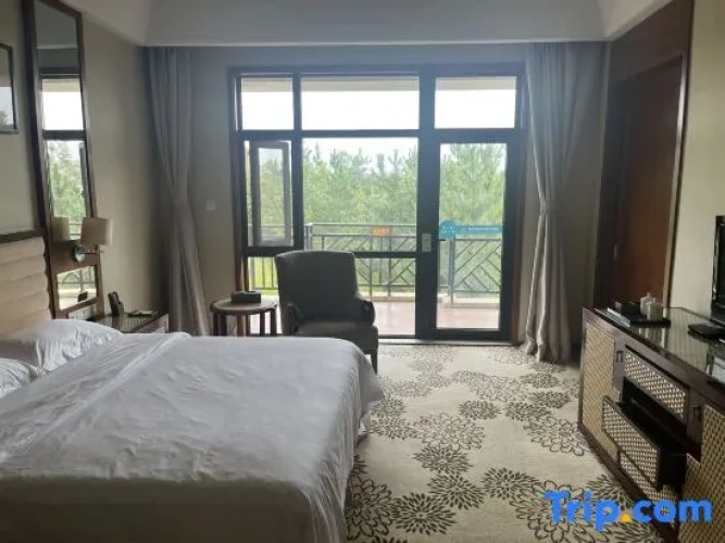 1 Bedroom Suite