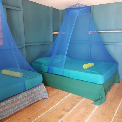 Standard Triple room with view