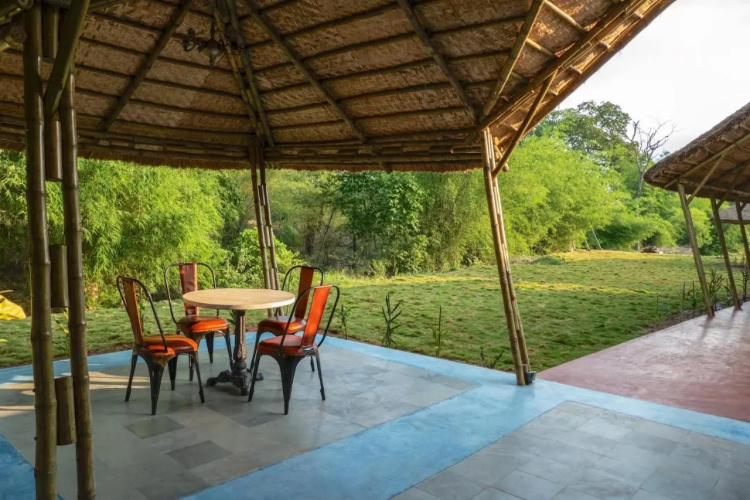 Red Earth Tadoba