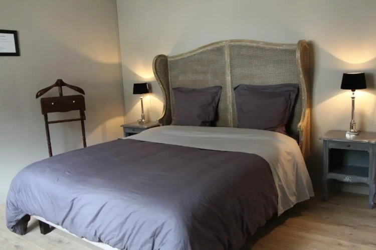 Standard Suite