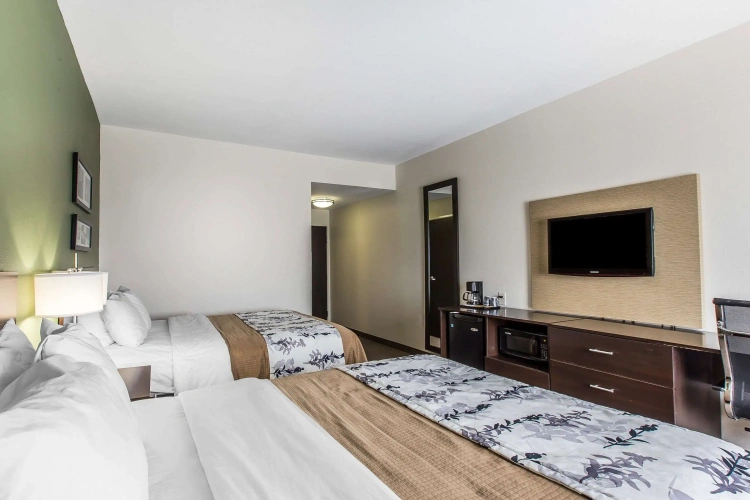 Quadruple Suite
