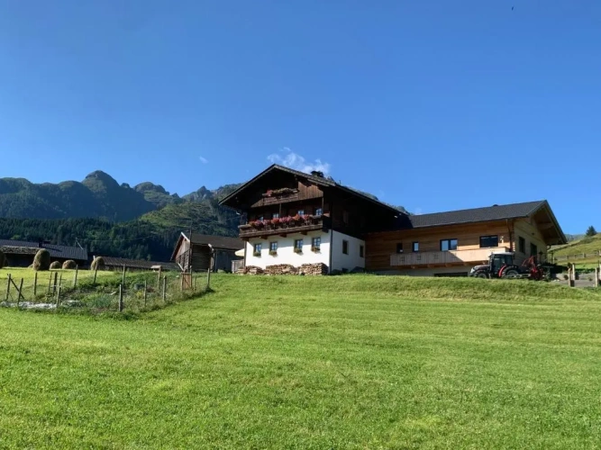 Standard Double room with mountain view