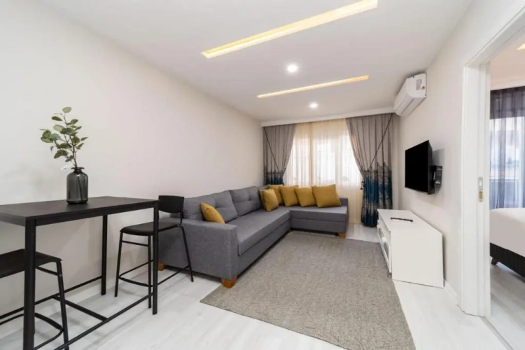 1 Bedroom Apartment