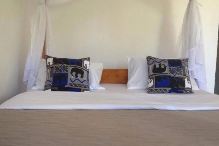 African wagtail hostel