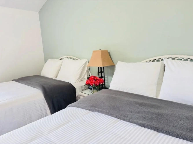 Deluxe Quadruple room