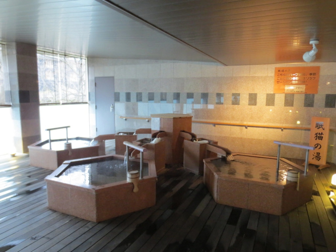 Ooedo Onsen Monogatari Premium Kinugawa Kanko Hotel